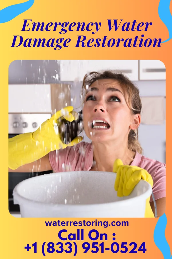 Emergency Water Damage Restoration in Star Harbor, TX