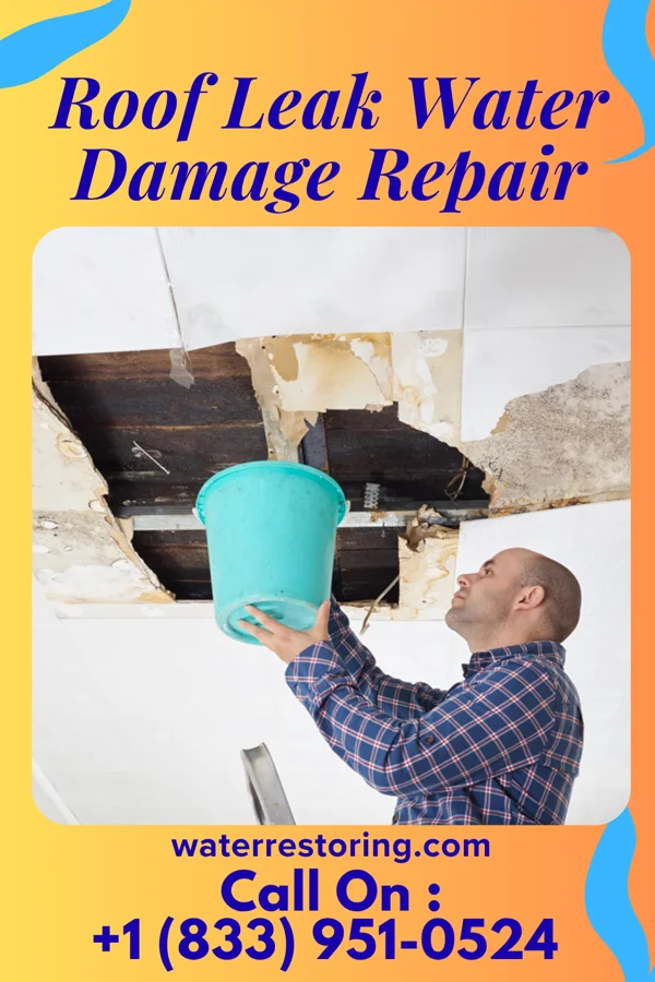 Roof Leak Water Damage Repair in Star Harbor, TX