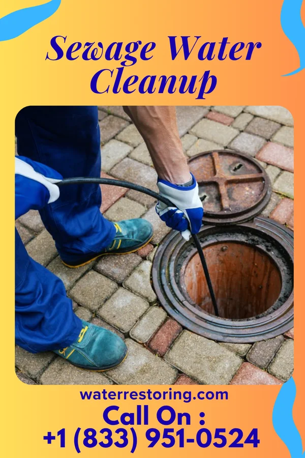 Sewage Water Cleanup in Star Harbor, TX